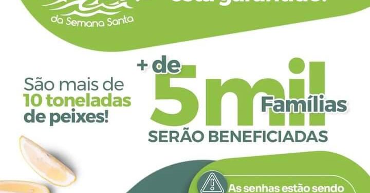 Alto Alegre: Prefeita Nilsilene do Liorne garante peixe na mesa dos altoalegrenses na  Semana Santa