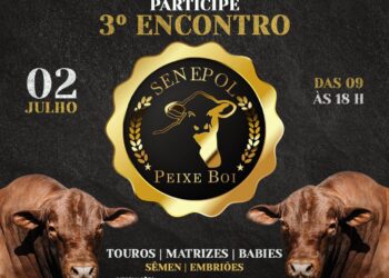 Codó: Vem aí o 3º Encontro Senepol Peixe Boi dia 2 de julho em Codó-MA
