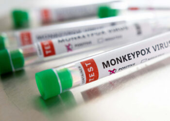 Saúde: Anvisa aprova liberação da vacina para a varíola dos macacos