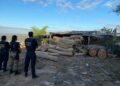 Crime Ambiental: Polícia Federal faz operação em Barra do Corda para combater exploração ilegal de madeira Crime Ambiental: Polícia Federal faz operação em Barra do Corda para combater exploração ilegal de madeira