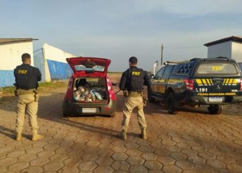 Justiça: Casal é detido em Bacabeira pela PRF por possível crime eleitoral