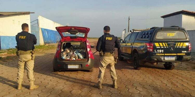 Justiça: Casal é detido em Bacabeira pela PRF por possível crime eleitoral Justiça: Casal é detido em Bacabeira pela PRF por possível crime eleitoral