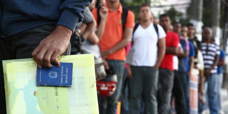 Fim de Ano: Emprego temporário cresce com a chegada do final do ano, aponta CNDL Fim de Ano: Emprego temporário cresce com a chegada do final do ano, aponta CNDL