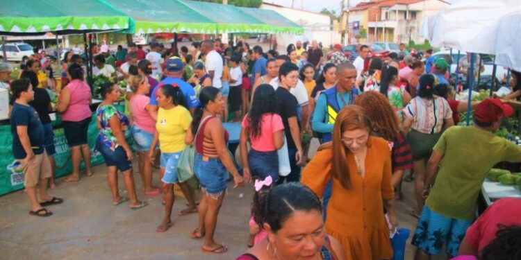 Peritoró: Feirinha do Agricultor se consolida como grande canal de vendas para produtores do município Peritoró: Feirinha do Agricultor se consolida como grande canal de vendas para produtores do município