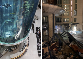 Acidente: Aquário gigante que abrigava mais de 1,5 mil peixes explode em Berlim