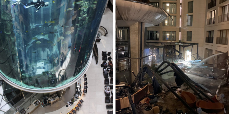 Acidente: Aquário gigante que abrigava mais de 1,5 mil peixes explode em Berlim Acidente: Aquário gigante que abrigava mais de 1,5 mil peixes explode em Berlim