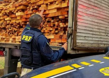 PRF: A instituição no Maranhão se destacou em TCOs de crimes ambientais