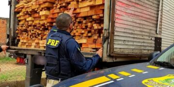 PRF: A instituição no Maranhão se destacou em TCOs de crimes ambientais