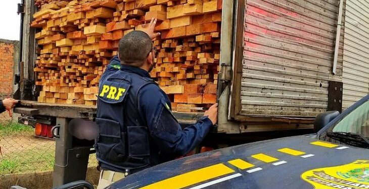 PRF: A instituição no Maranhão se destacou em TCOs de crimes ambientais PRF: A instituição no Maranhão se destacou em TCOs de crimes ambientais