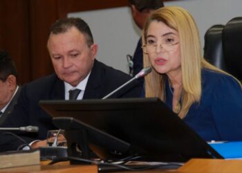 Iracema Vale: Deputada convoca Sessão Extraordinária para esta segunda (6) na Assembleia