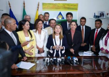 Iracema Vale: Deputada anuncia mais de 4 milhões para a saúde de Imperatriz Agência Assembleia