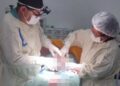 Anapurus: Saúde de qualidade para os anapuruenses Anapurus: Saúde de qualidade para os anapuruenses