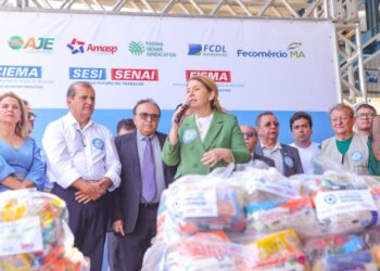 Iracema Vale: Deputada participa da entrega de doações da campanha “S.O.S. Enchentes, Empresa Solidária”