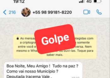 Iracema Vale: Deputada alerta para tentativa de golpe usado sua imagem