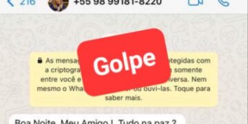 Iracema Vale: Deputada alerta para tentativa de golpe usado sua imagem