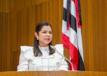 Solange Almeida: Deputada repercute reunião com governador para definir ações de combate à violência nas escolas