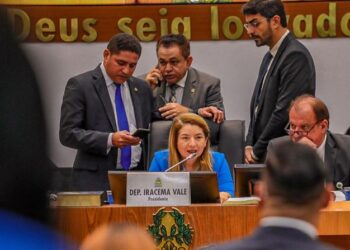 ALEMA: Aprovado PL de Iracema Vale que obriga comunicação à DPE dos nascimentos sem identificação de paternidade