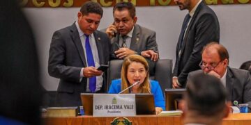 ALEMA: Aprovado PL de Iracema Vale que obriga comunicação à DPE dos nascimentos sem identificação de paternidade