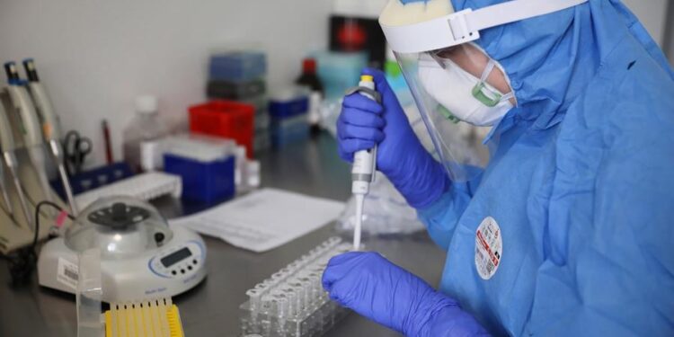 Gripe aviária: Brasil tem quatro casos suspeitos de infecção em humanos Gripe aviária: Brasil tem quatro casos suspeitos de infecção em humanos
