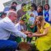 ALEMA: Deputados e alunos da Sementinha fazem plantio de mudas em alusão ao Dia Mundial do Meio Ambiente ALEMA: Deputados e alunos da Sementinha fazem plantio de mudas em alusão ao Dia Mundial do Meio Ambiente